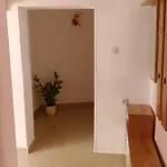 Jan 1 * Πούλα